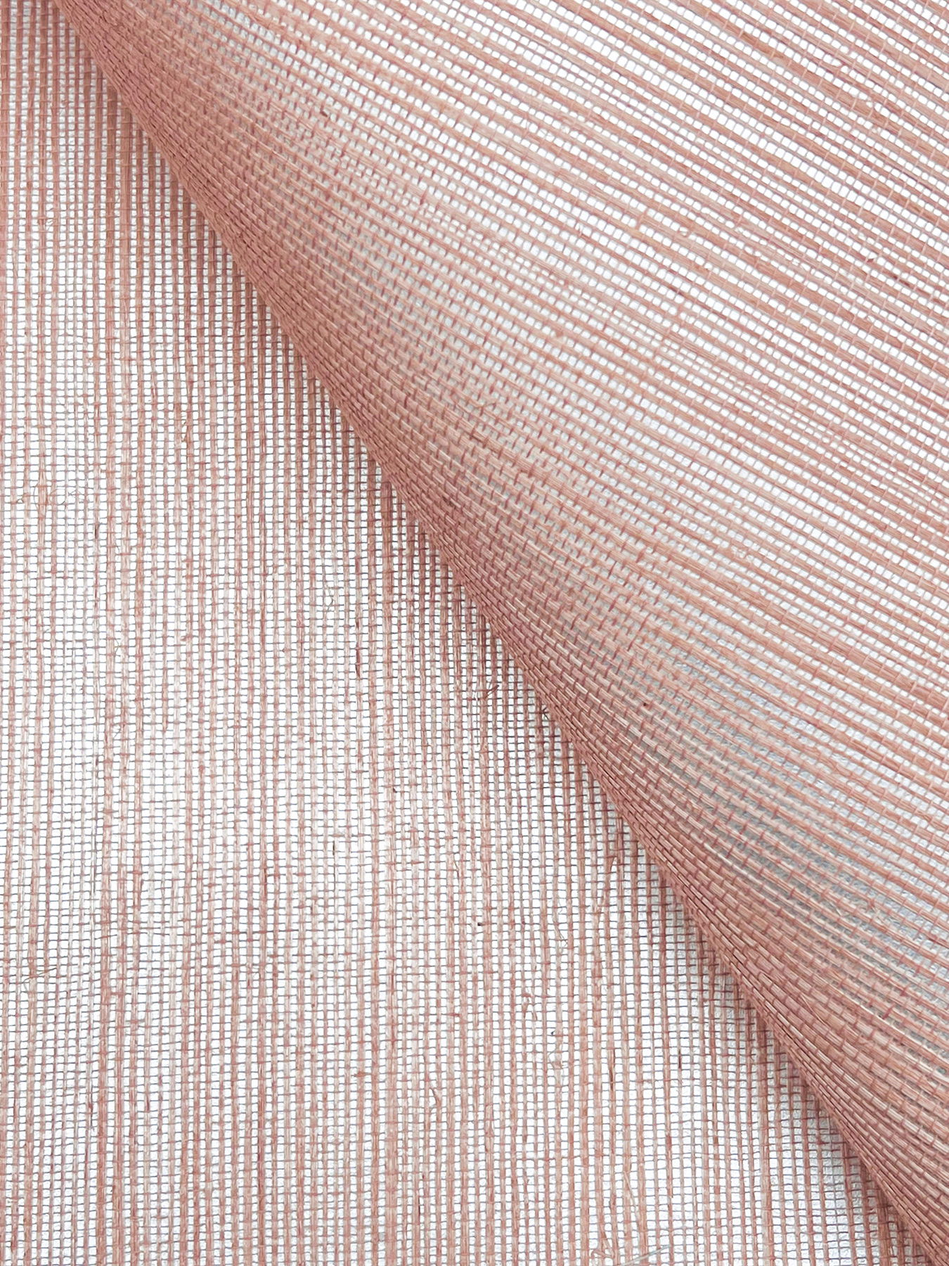 Maguey Sisal Rose Wallpaper large image 
