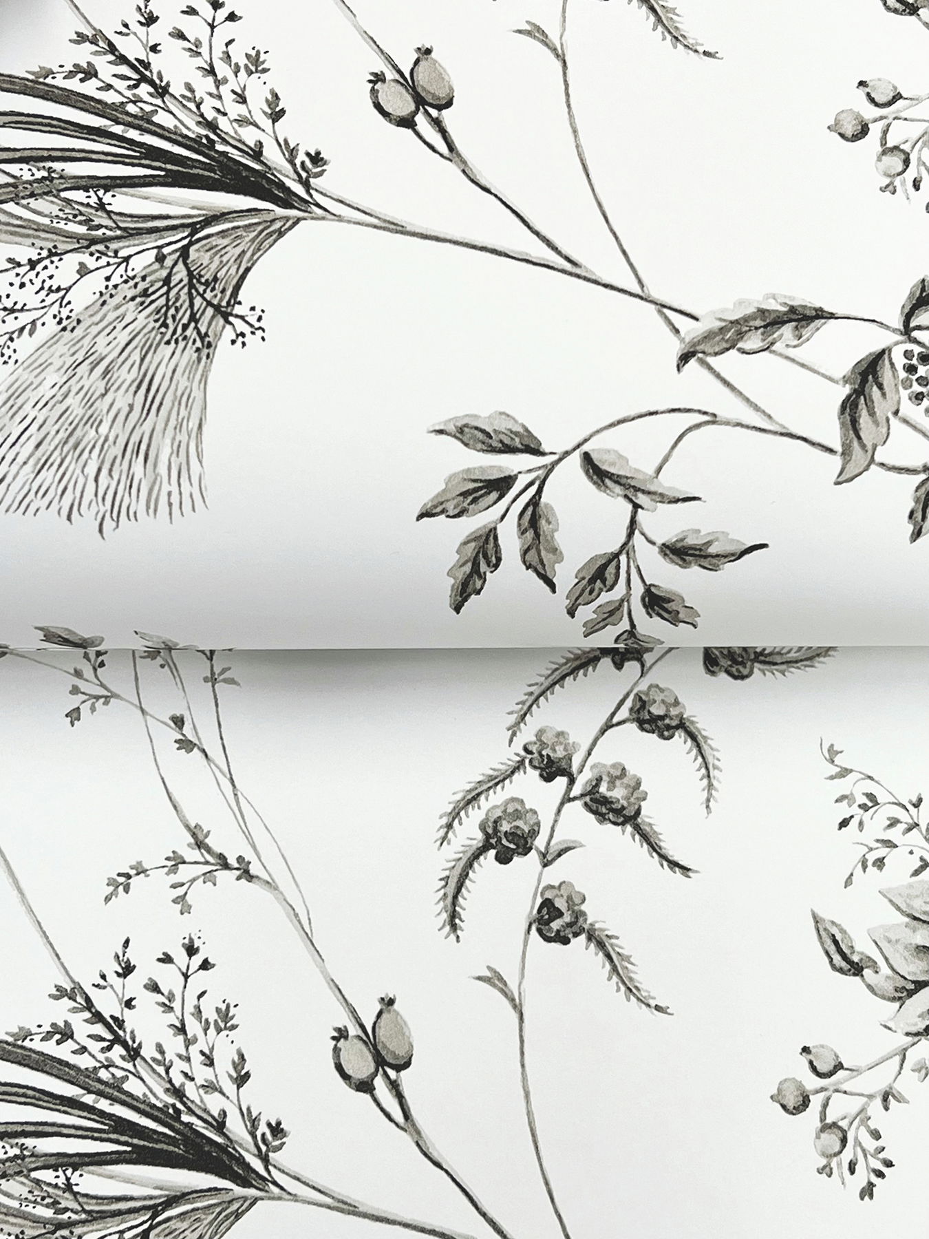 Floral Lace Black Wallpaper Floral Lace Black Wallpaper large image