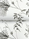 Floral Lace Black Wallpaper 3 Floral Lace Black Wallpaper thumbnail 3