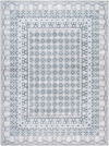 Rainier Machine Woven Rug, by Surya, 7'2.61" length x 5'2.99" width thumbnail