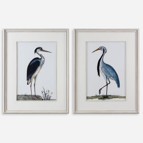 Shore Birds Framed Prints S/2