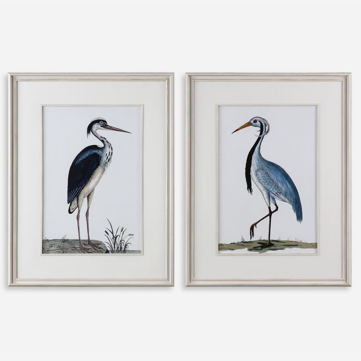 Shore Birds Framed Prints Set/2, Art by Uttermost, 32.62" width x 42.5" height x 1.62" depth View 1