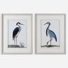 Shore Birds Framed Prints Set/2, Art by Uttermost, 32.62" width x 42.5" height x 1.62" depth thumbnail 1