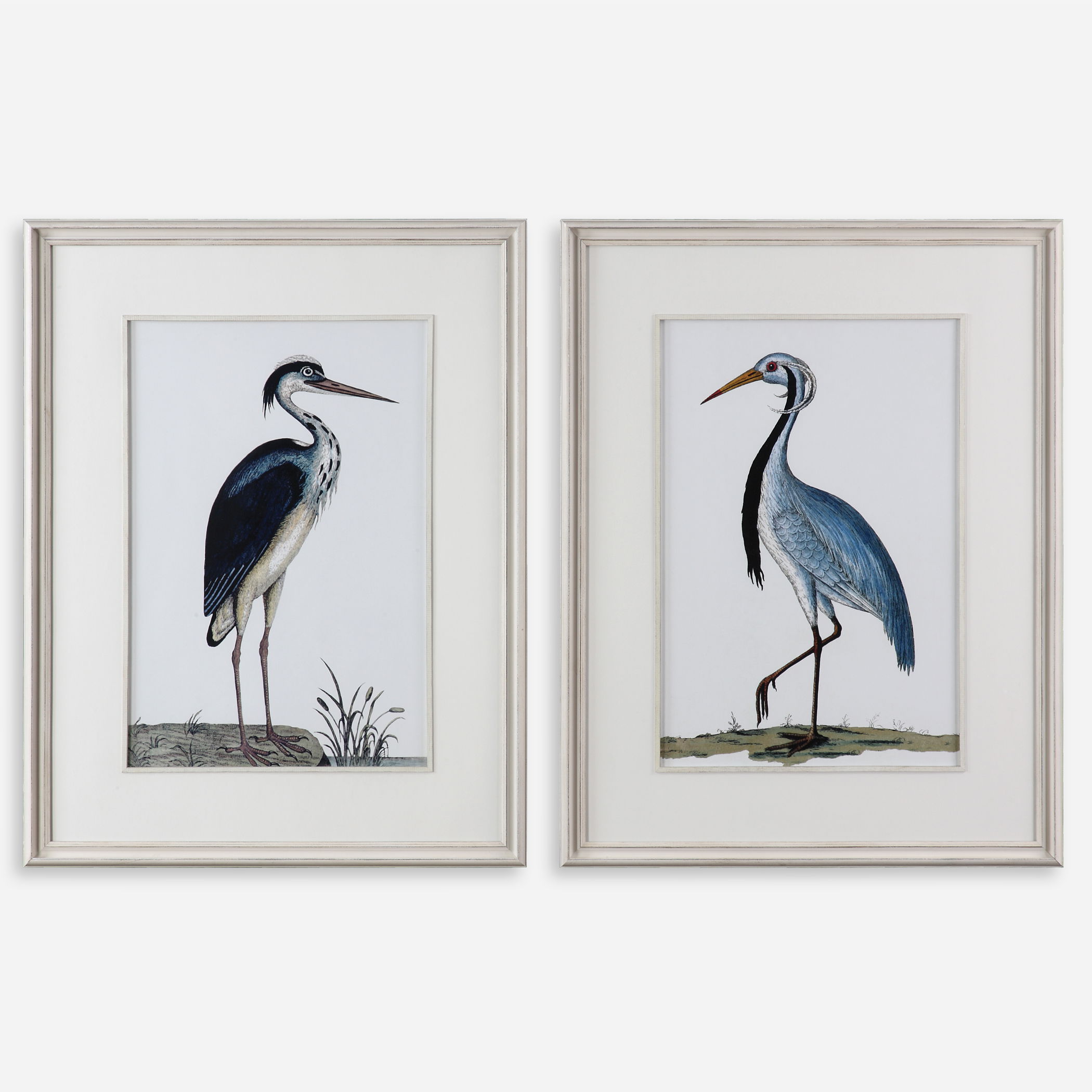 Shore Birds Framed Prints Set/2, Painting by Uttermost, 32.62" width x 42.5" height x 1.62" depth View 1