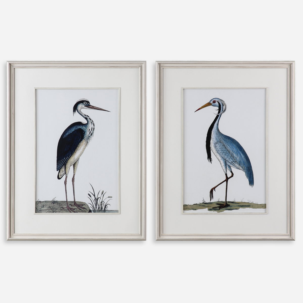 Shore Birds Framed Prints Set/2, by Uttermost, 2'8.62" width x 3'6.5" height x 1.62" depth View 1