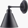 Gordy Wall Sconce thumbnail 0