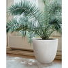Nelia Planter thumbnail 3