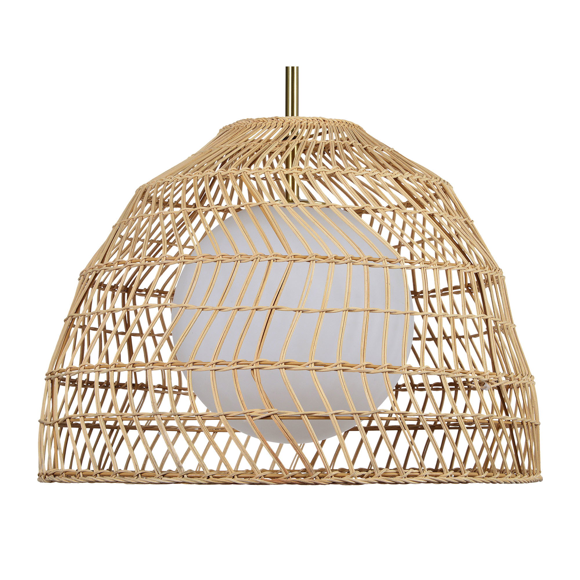 Palm Ceiling Fixture large image 