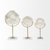 Sandy III (Large) 8L x 4W White Coastal Sand Dollar Object thumbnail 3