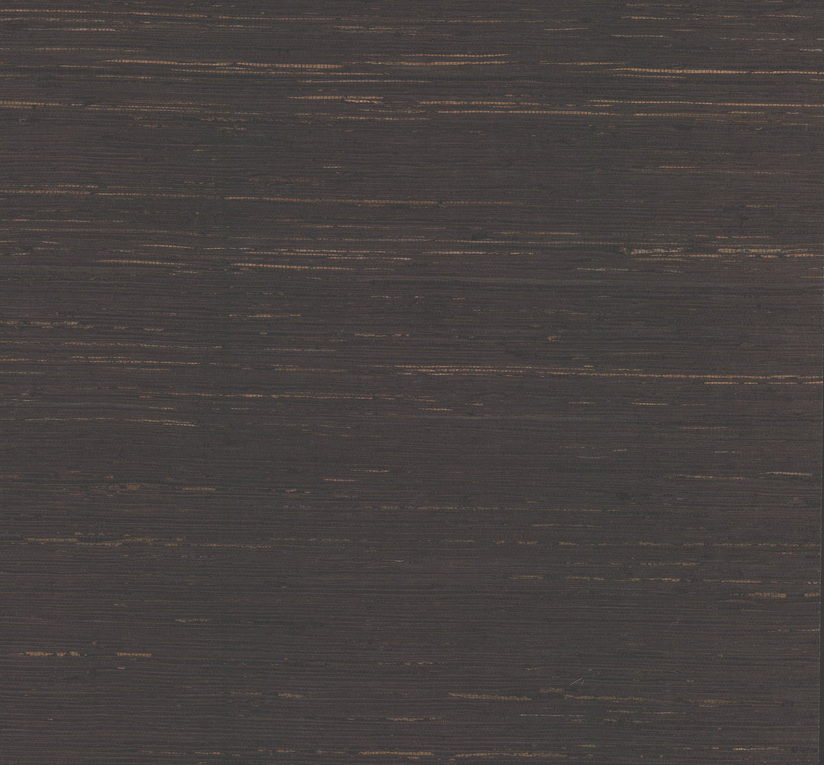 Inked Grass Charcoal Wallpaper, by York Wall, 24' length x 3' width x 0.02" depth