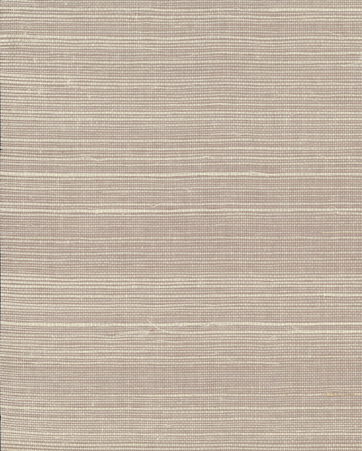 Plain Beige Grass Wallpaper, by York Wall, 24' length x 3' width x 0.02" depth View 2