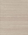 Plain Beige Grass Wallpaper, by York Wall, 24' length x 3' width x 0.02" depth thumbnail 1