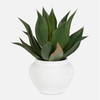 Tierra Agave Centerpiece With Vase, Artificial Plants & Flower by Uttermost, 22" width x 24" height x 22" depth thumbnail 1