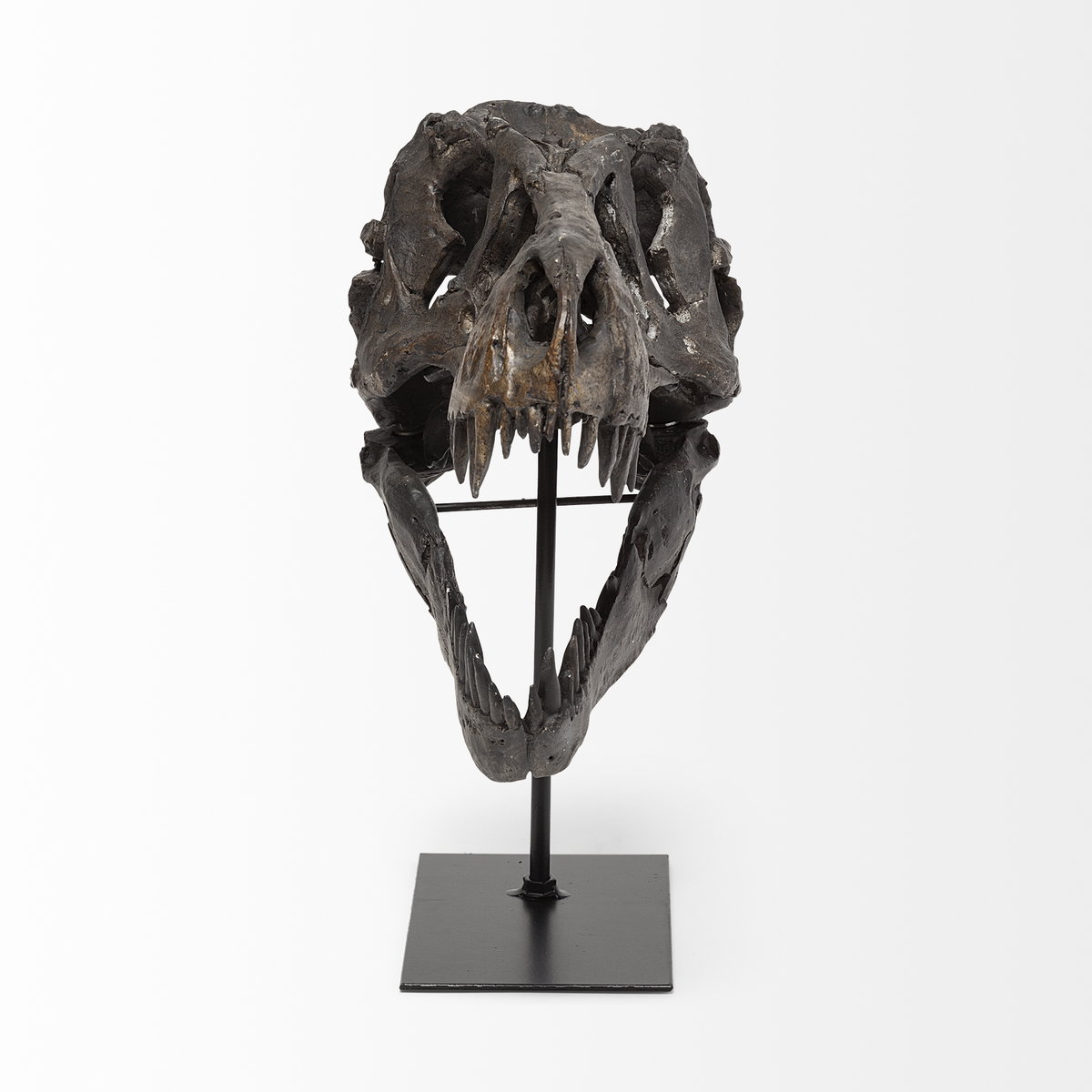 Jurassic 6L x 10W Brown Resin Tyrannosaurus Skull Replica, Decorative Object by Mercana, 6" length x 9.84" width x 11.81" height View 3