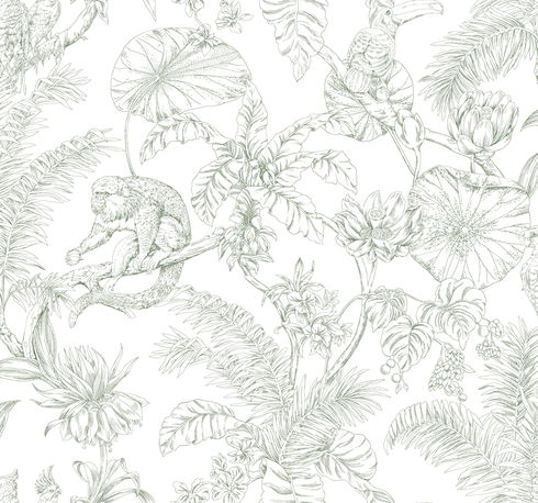 Tropical Sketch Toile Forest Wallpaper