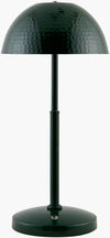 Elvas Accent Table Lamp thumbnail 0