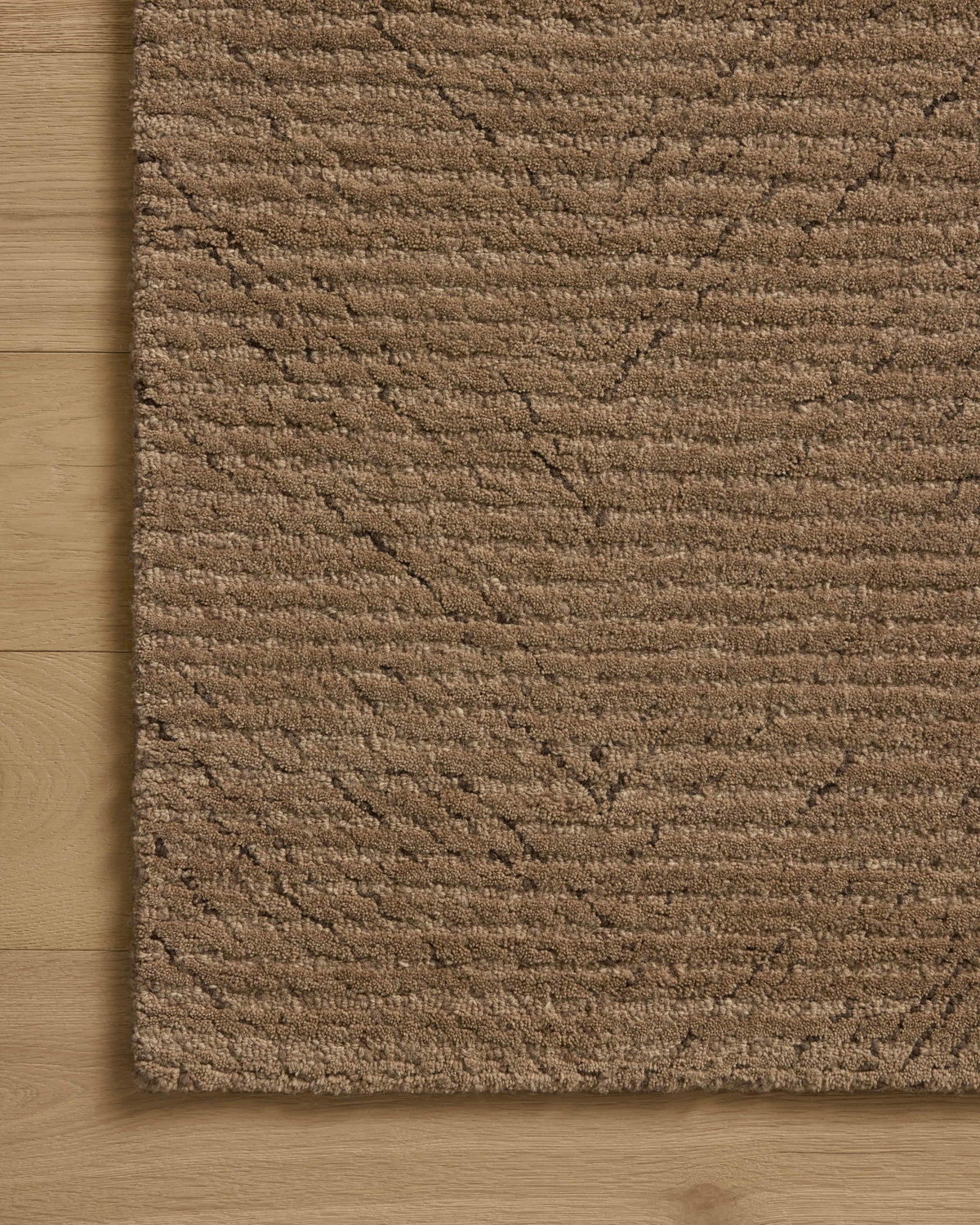 Loloi Kai Rug, 3'6" length x 5'6" width View 3