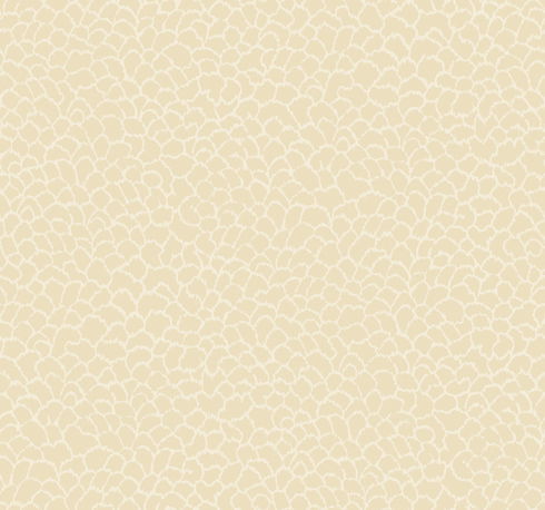 Nadie Camel Wallpaper
