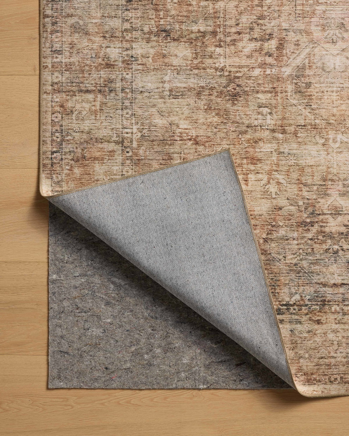 Loloi Anniston Rug, 1'6" length x 1'6" width View 9