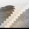 Knox Medium Gray-Wash Wood Decorative Object thumbnail 3