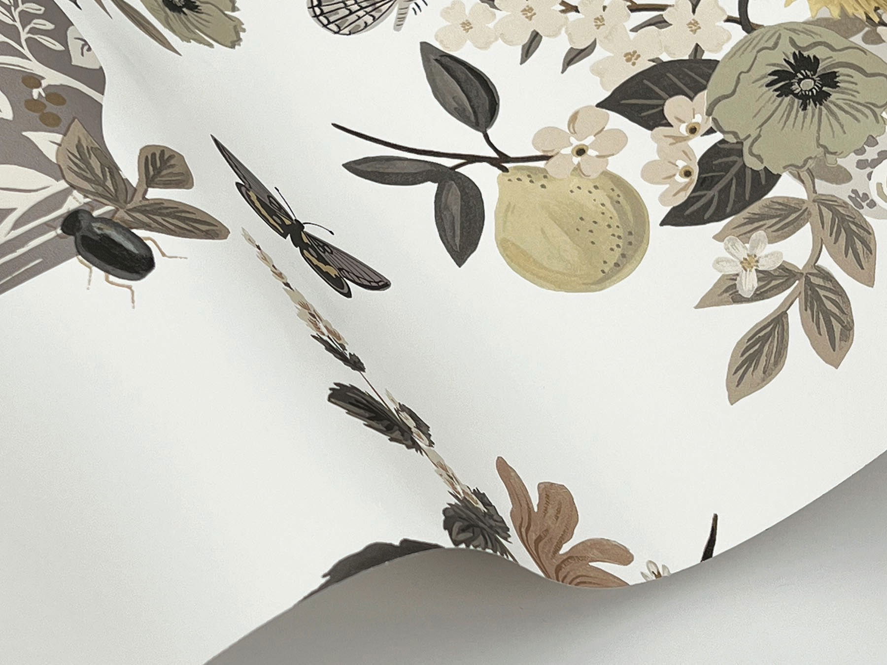 Flower Studies Linen Wallpaper large image 