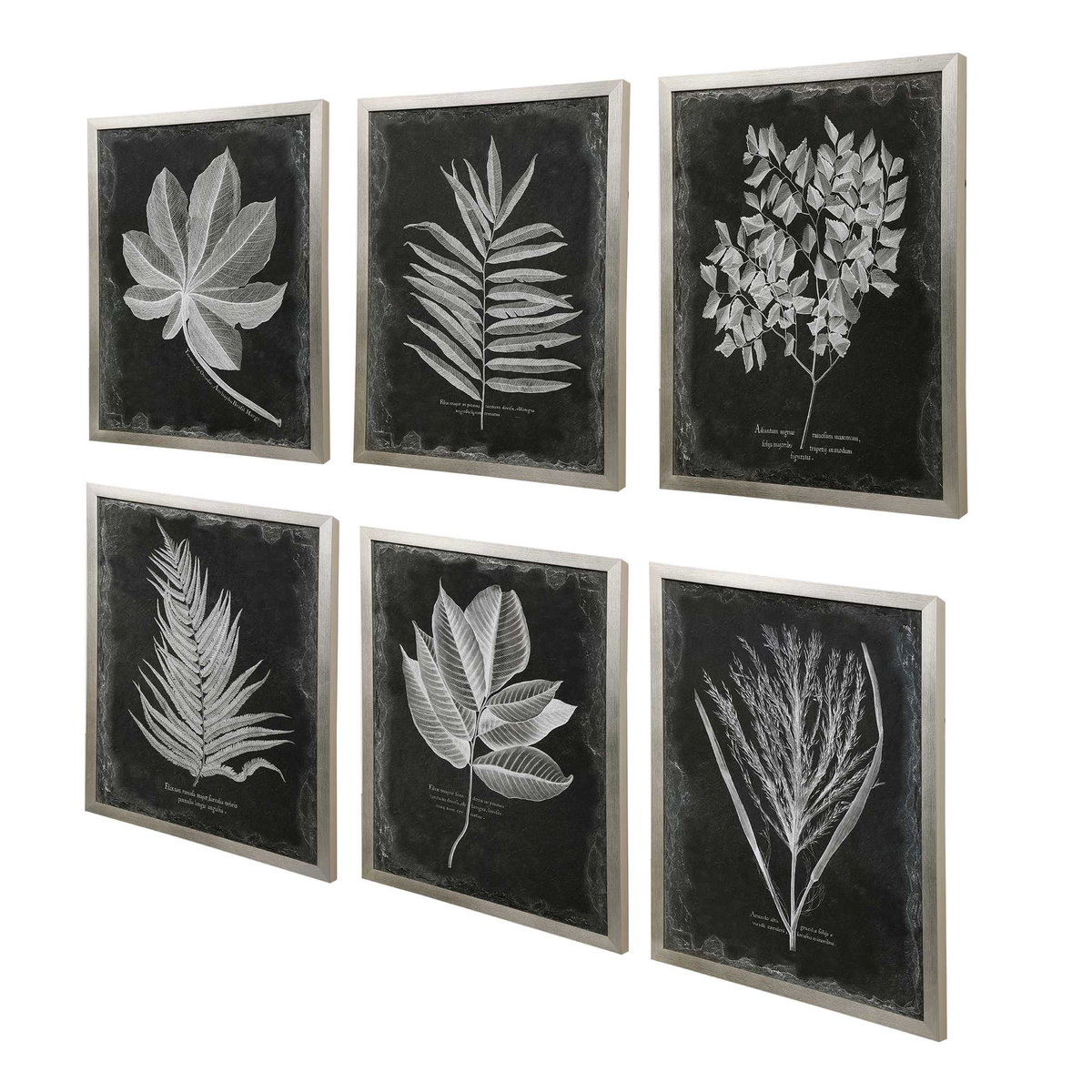 Foliage Framed Prints Set/6, Art by Uttermost, 25.75" width x 33.75" height x 2.25" depth View 5