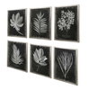 Foliage Framed Prints Set/6, Art by Uttermost, 25.75" width x 33.75" height x 2.25" depth thumbnail 5