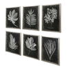 Foliage Framed Prints Set/6, Painting by Uttermost, 25.75" width x 33.75" height x 2.25" depth thumbnail 5