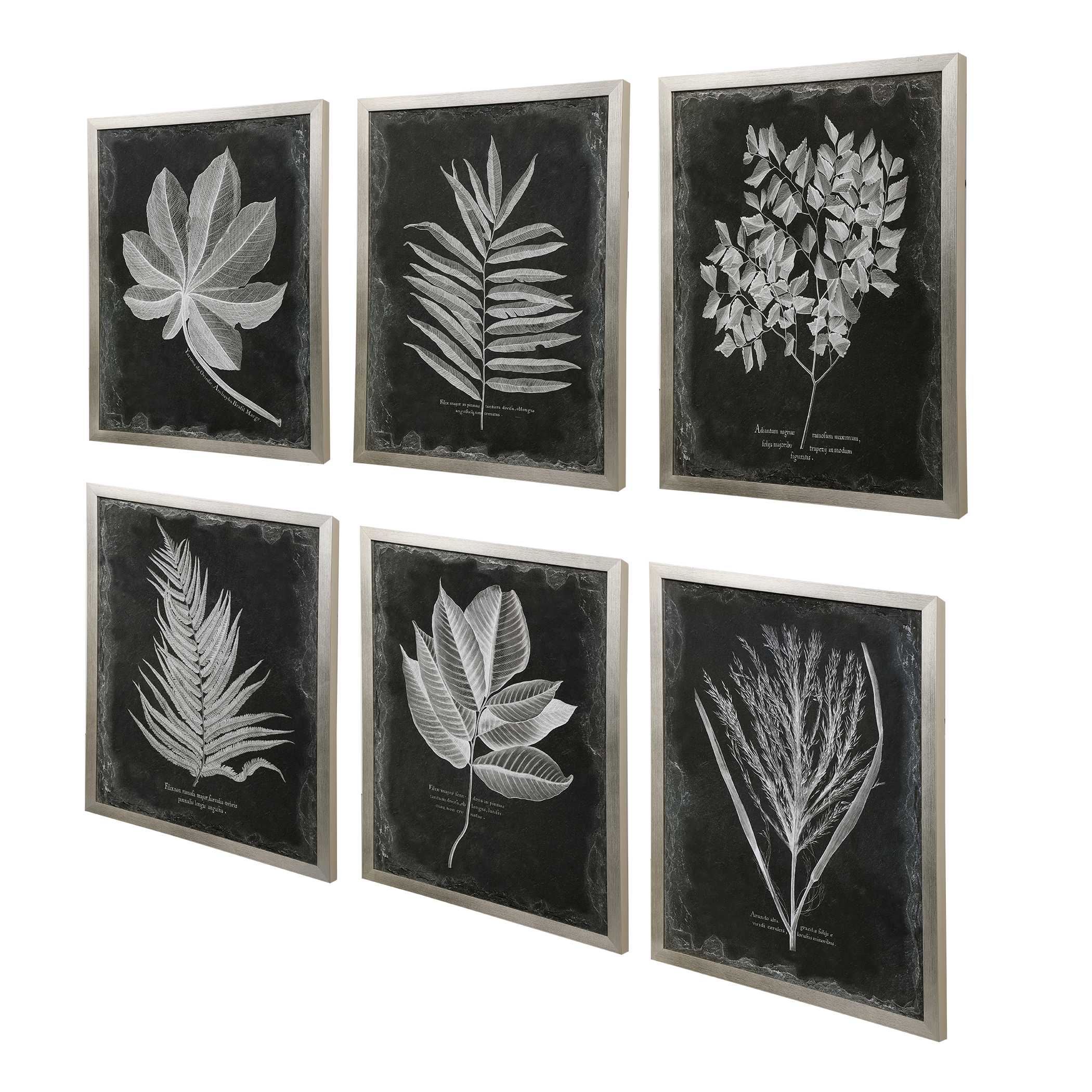 Foliage Framed Prints Set/6 large image 