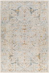 Reina Machine Woven Rug, by Surya, 9'6.17" length x 6'6.74" width thumbnail
