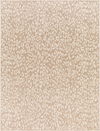 Tuareg Machine Woven Rug thumbnail 0