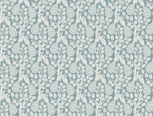 Teal  Plumage Wallpaper