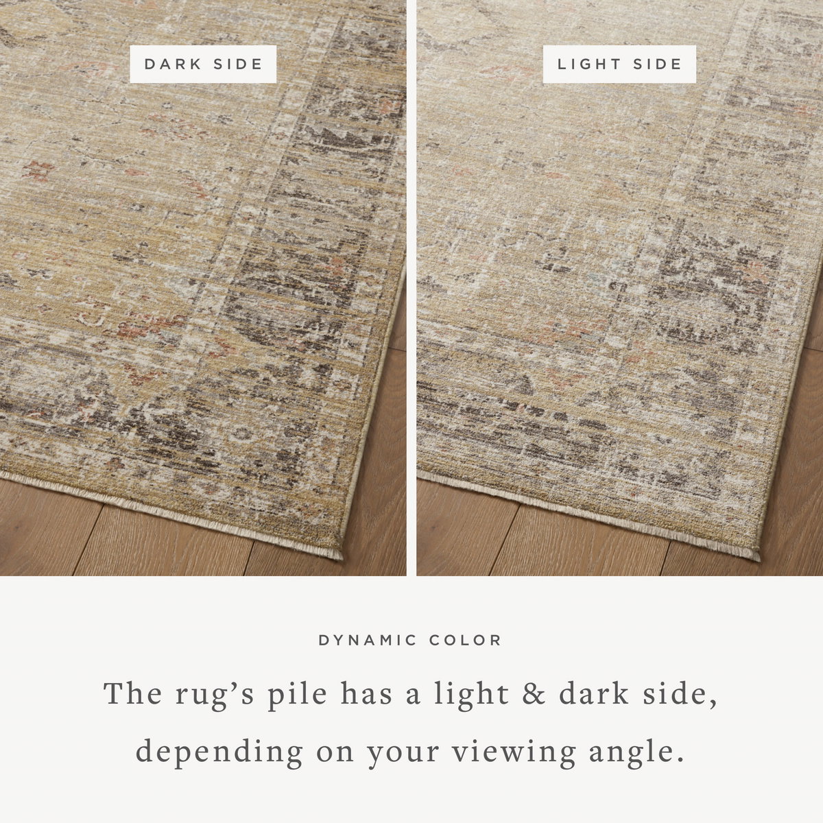 Magnolia Home by Joanna Gaines x Loloi Millie Rug, 3'6" length x 5'6" width View 3