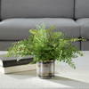 Maidenhair Fern In Oxidized Container, Artificial Plants & Flower by Uttermost, 14" width x 14" height x 14" depth thumbnail 2