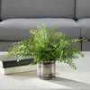 Maidenhair Fern In Oxidized Container, Artificial Plants & Flower by Uttermost, 14" width x 14" height x 14" depth thumbnail 2