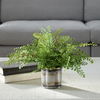 Maidenhair Fern In Oxidized Container, Decorative by Uttermost, 14" width x 14" height x 14" depth thumbnail 2