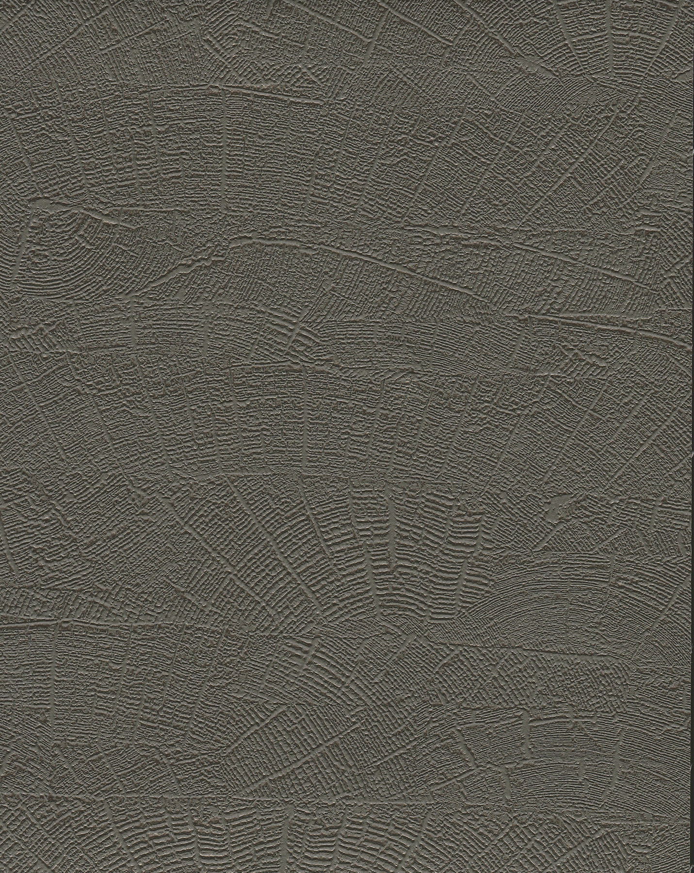 On Deck Grey & Brown Wallpaper large image 