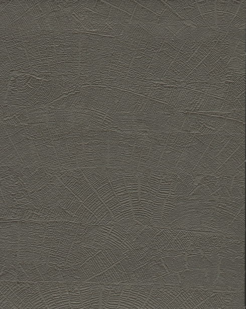 On Deck Grey & Brown Wallpaper
