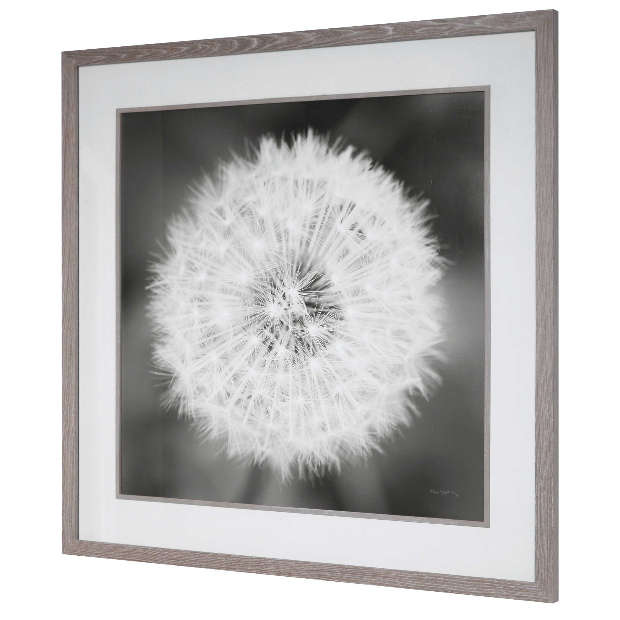 Dandelion Seedhead Framed Print, Painting by Uttermost, 53.75" width x 53.75" height x 3.12" depth View 6