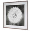 Dandelion Seedhead Framed Print, Painting by Uttermost, 53.75" width x 53.75" height x 3.12" depth thumbnail 6