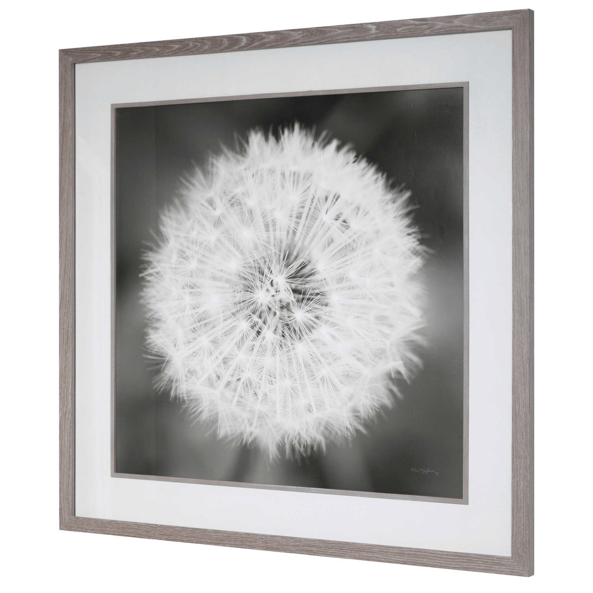 Dandelion Seedhead Framed Print, by Uttermost, 4'5.75" width x 4'5.75" height x 3.12" depth View 6