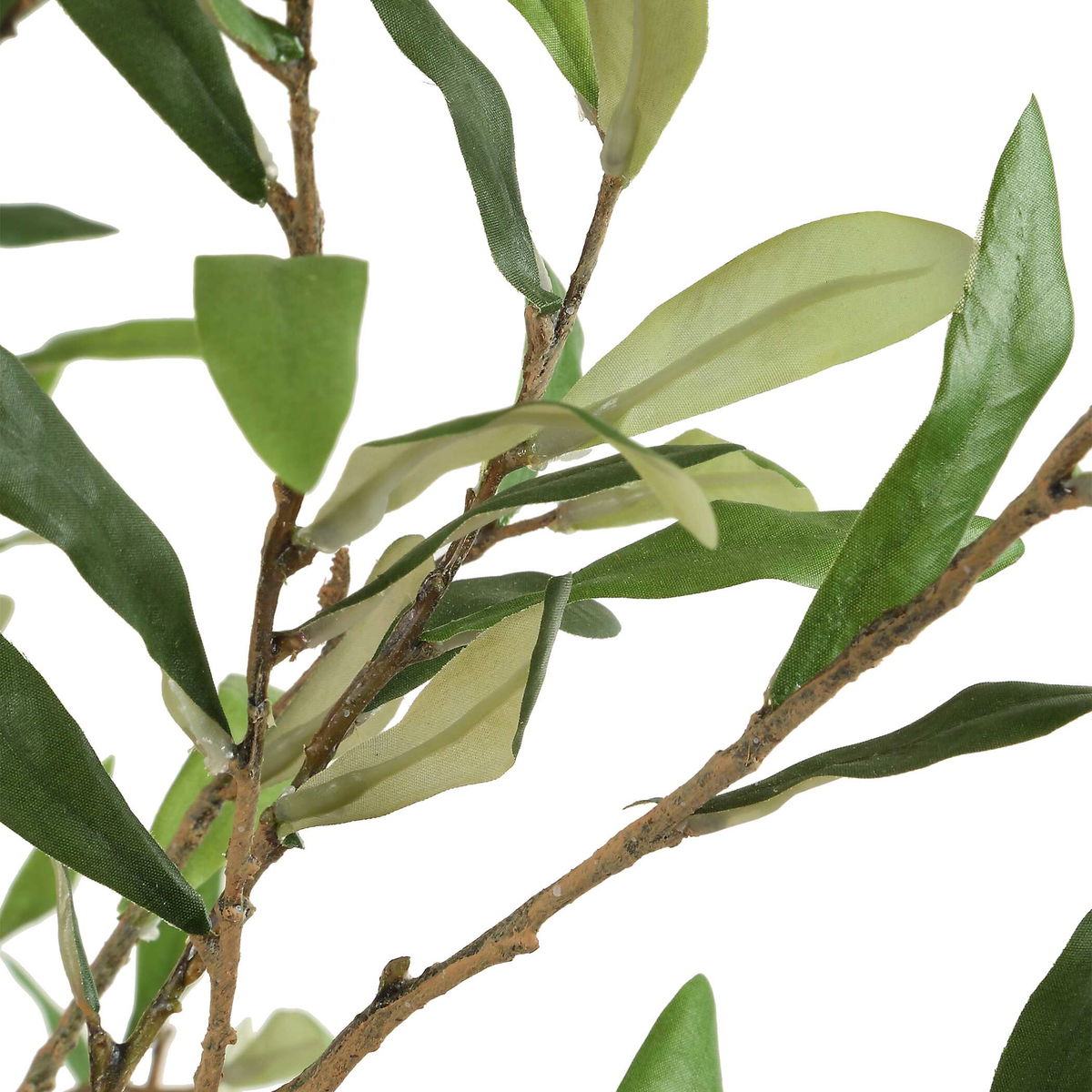 Abundance Potted Olive Tree, Artificial Plants & Flower by Uttermost, 31.5" width x 90.5" height x 31.5" depth View 4