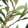 Abundance Potted Olive Tree, Artificial Plants & Flower by Uttermost, 31.5" width x 90.5" height x 31.5" depth thumbnail 4