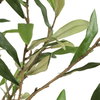 Abundance Potted Olive Tree, by Uttermost, 2'7.5" width x 7'6.5" height x 2'7.5" depth thumbnail 4