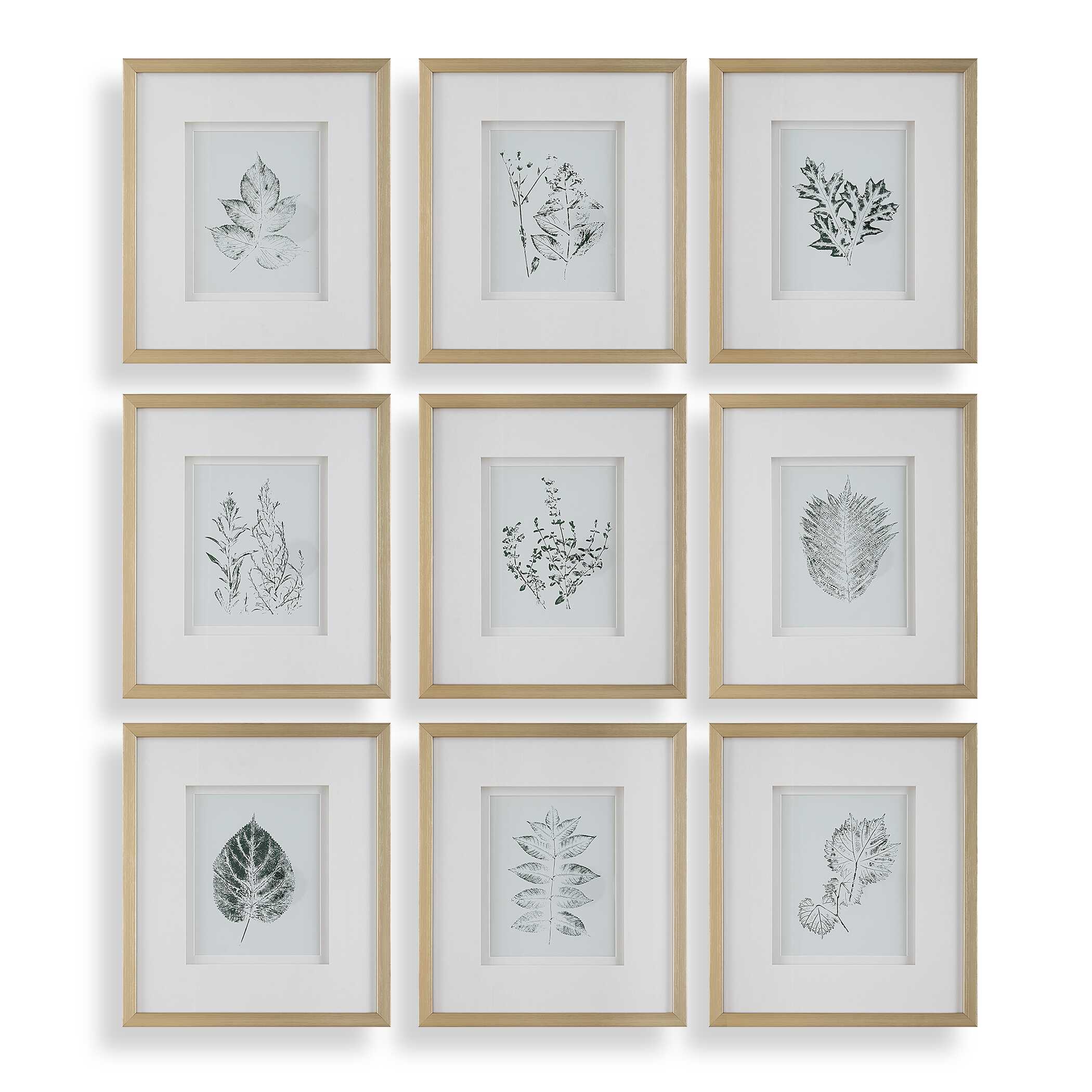 Nature's Script Framed Botanical Prints Set/9, Painting by Uttermost, 15.25" width x 17.25" height x 1.75" depth View 1