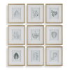 Nature's Script Framed Botanical Prints Set/9 thumbnail 0