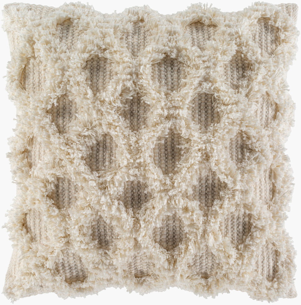 Edric Accent Pillow Down, Decorative Pillow by Surya, 22" length x 22" width