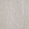 Mimosa Wall Art thumbnail 5