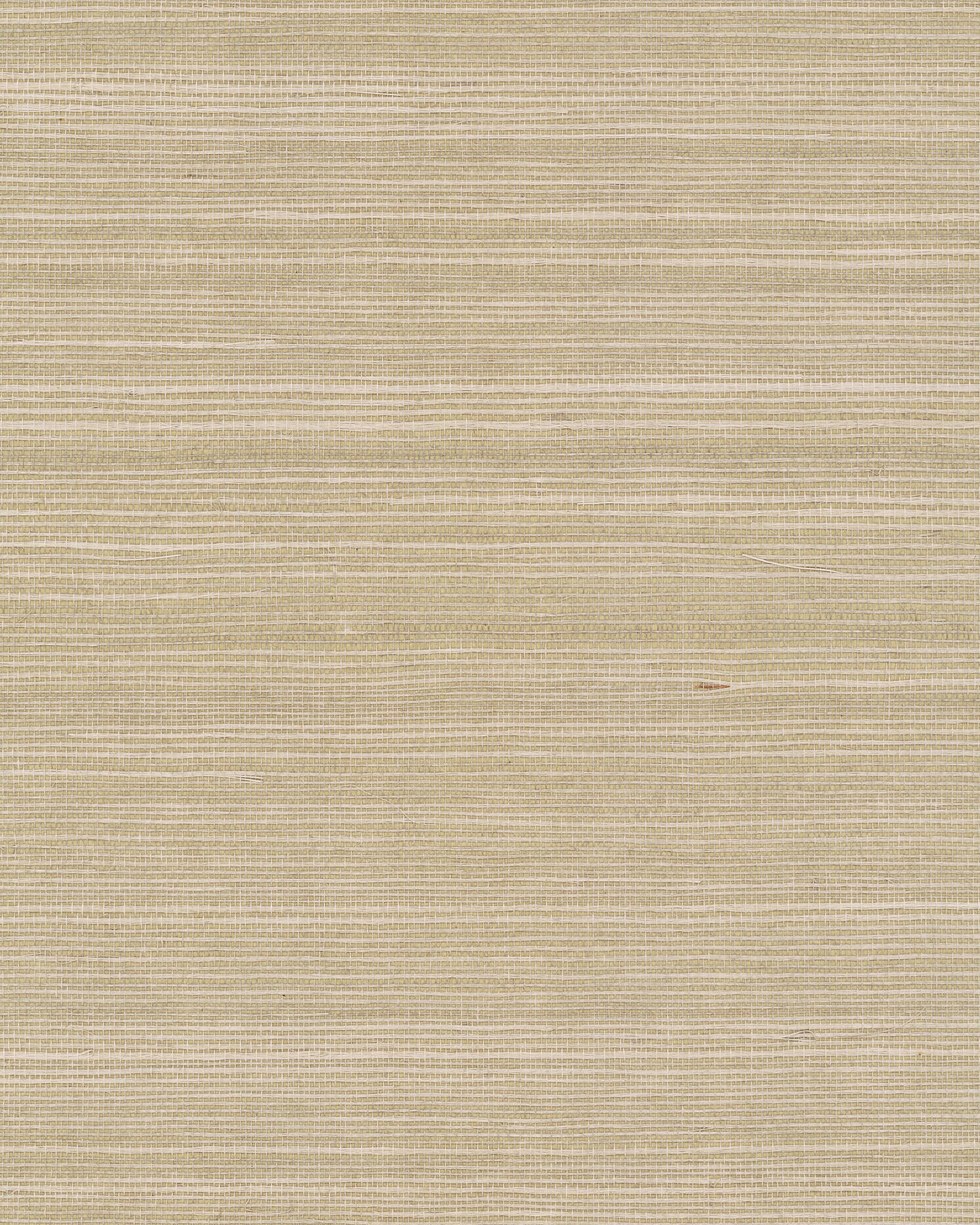 Maguey Sisal Mushroom Wallpaper Maguey Sisal Mushroom Wallpaper large image