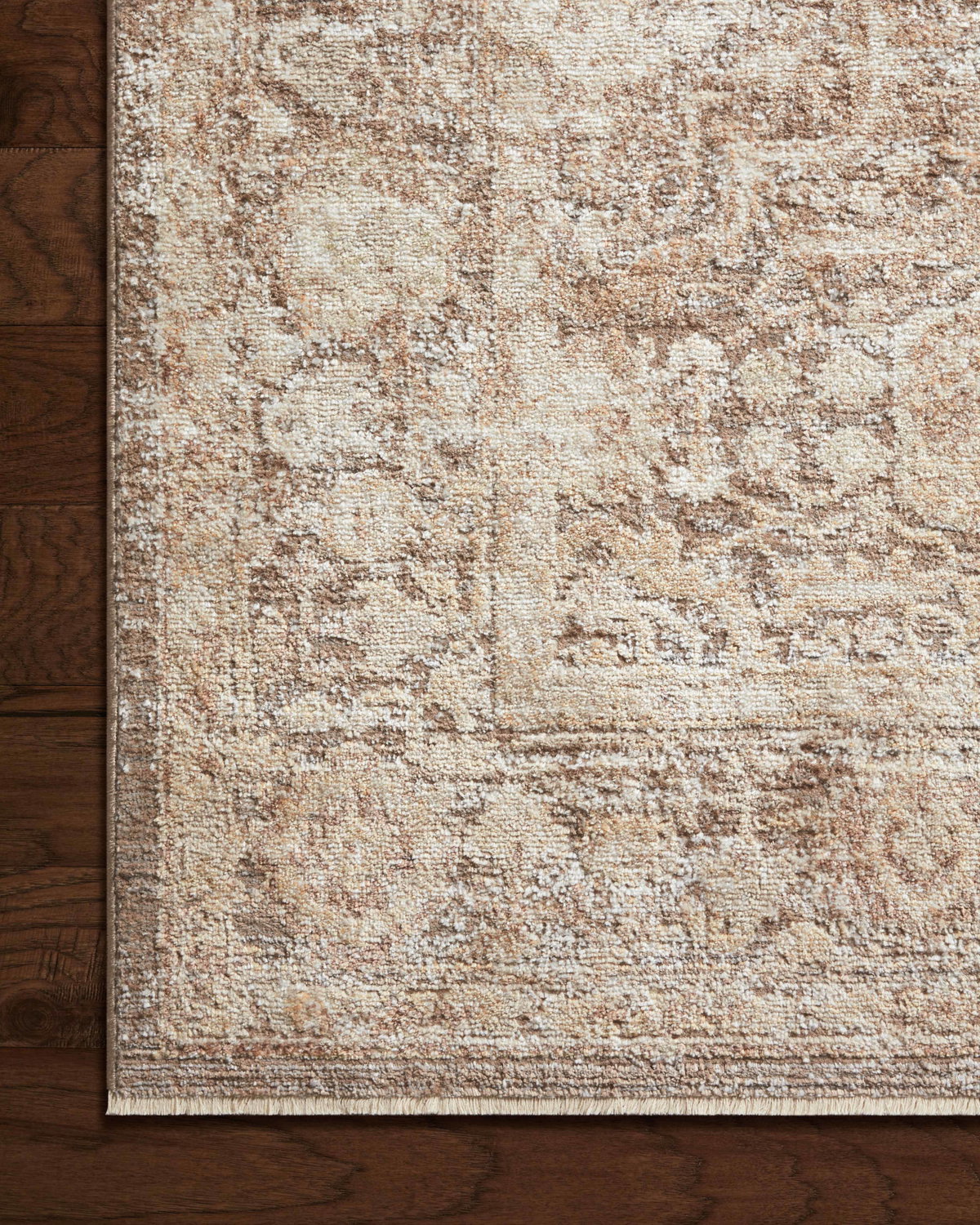 Loloi Sonnet Rug, 2'6" length x 4' width View 4